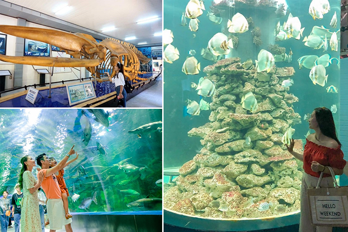 du lịch Tết Nha Trang