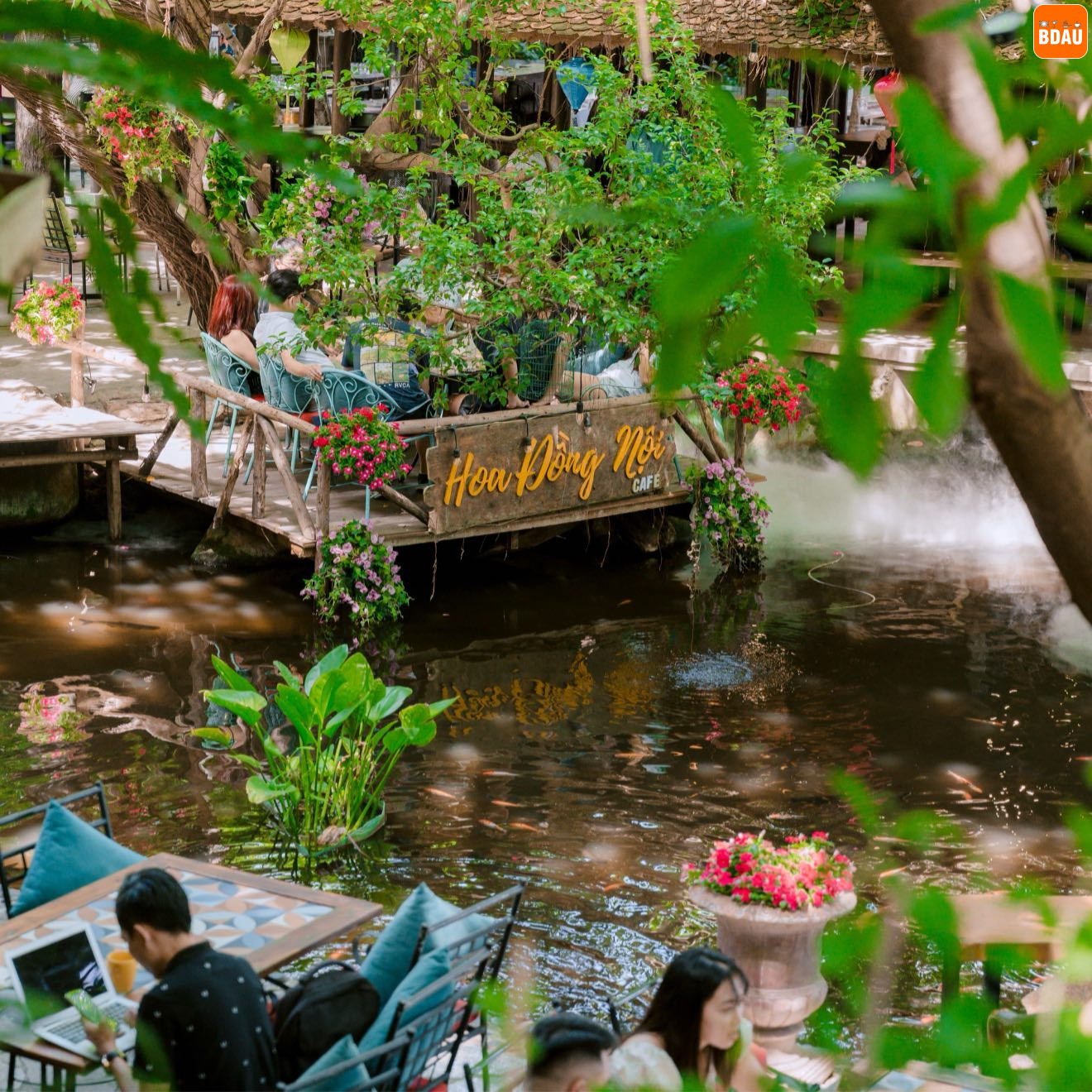hoa dong noi