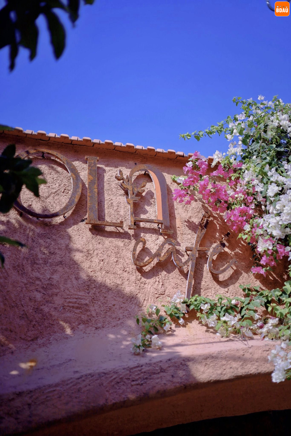 ola