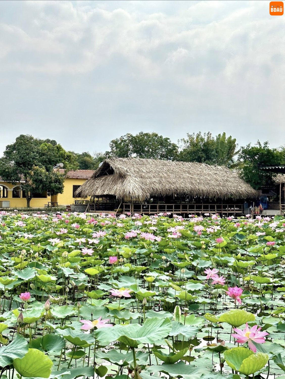 nha trang xua 9